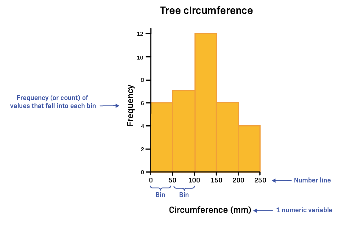 A histogram of tree circumferences is shown. The x-axis is labeled “Circumference” (measured in millimeters) and runs from 0